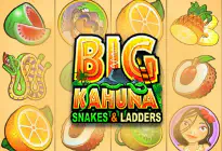 Big Kahuna Snakes - Ladders