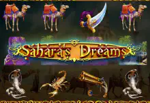 Sahara’s Dreams